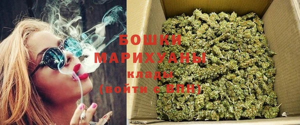 гашик Новозыбков