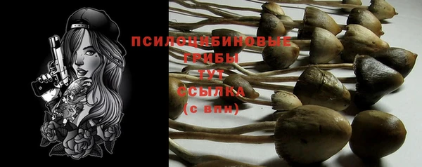трава Няндома