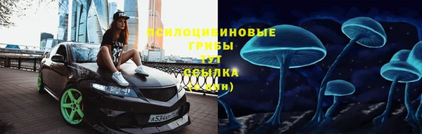 трава Няндома