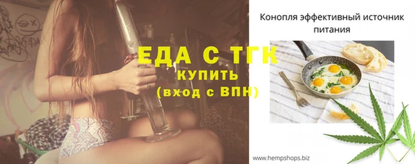 гашик Новозыбков