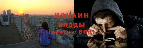 трава Няндома