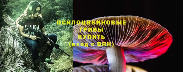 гашиш Новокубанск
