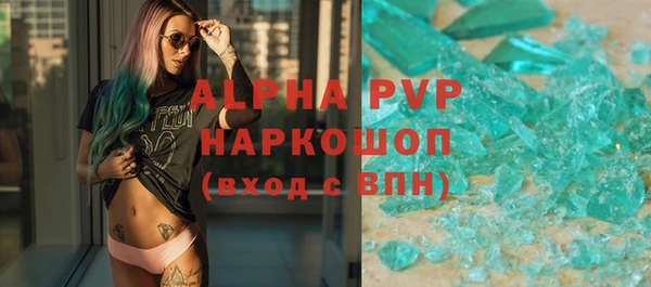 гашик Новозыбков