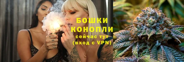 гашик Новозыбков